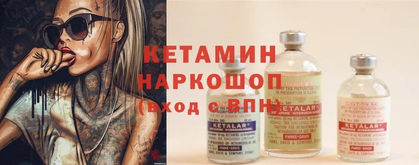 стаф Заводоуковск
