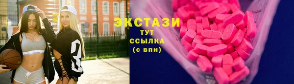 стаф Заводоуковск
