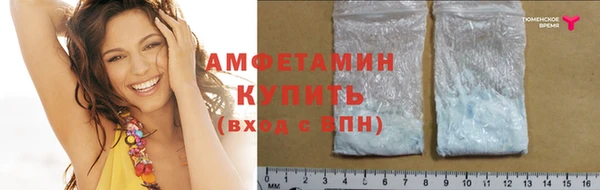 стаф Заводоуковск