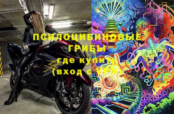 стаф Заводоуковск
