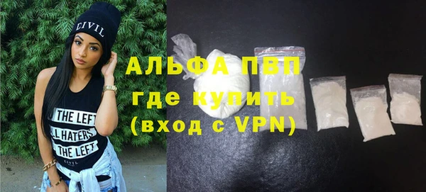 стаф Заводоуковск