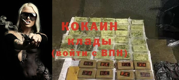 стаф Заводоуковск